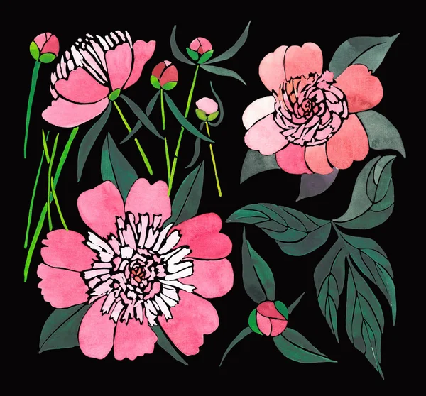 Composición primaveral brillante de una peonías rosadas sobre fondo negro patrón acuarela mano ilustración — Foto de Stock