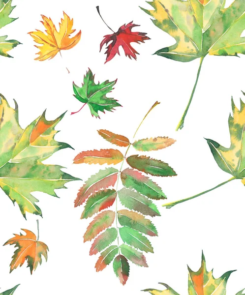 Helle schöne Blätter Herbst Ahorn und Vogelbeerenmuster Aquarell Hand Illustration — Stockfoto