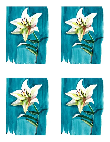 鲜艳的花春模式的白百合在蓝色背景水彩手剪影 — 图库照片