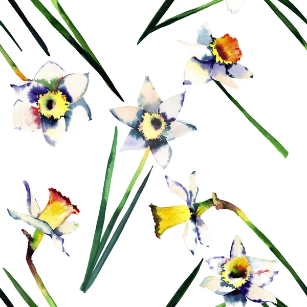 Mooie inschrijving voorjaar narcissen op een witte achtergrond patroon aquarel illustratie van de hand — Stockfoto