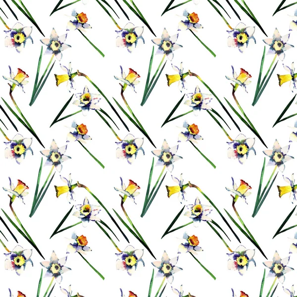 Piękny przetargu wiosną żonkile na szkic akwarela ręka białe tło wzór — Zdjęcie stockowe