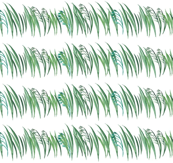 Яркий графический травяной цветочный узор из зеленой травы с овсянкой горизонтальный бесшовный узор акварельный рисунок руки — стоковое фото