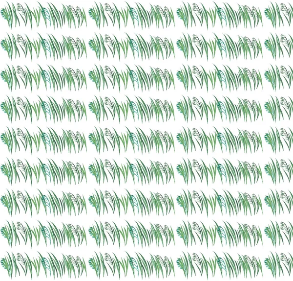 Helle grafische Kräuterflorale Muster von grünem Gras mit Hafer horizontal Muster Aquarell Handskizze — Stockfoto