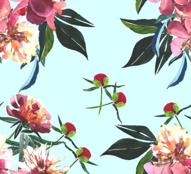 Mavi arka plan deseni suluboya yandan bej toz pembe peonies kompozisyonu güzel bahar kroki