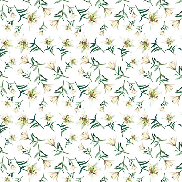 백색 베이지색 가루 백합 수채화 손 그림의 부드러운 아름 다운 봄 세련 된 아름 다운 패턴 — 스톡 사진
