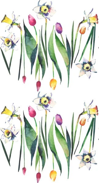 Heldere mooie verticale voorjaar patroon van kleurrijke tulpen en narcissen van zacht aquarel hand illustratie — Stockfoto