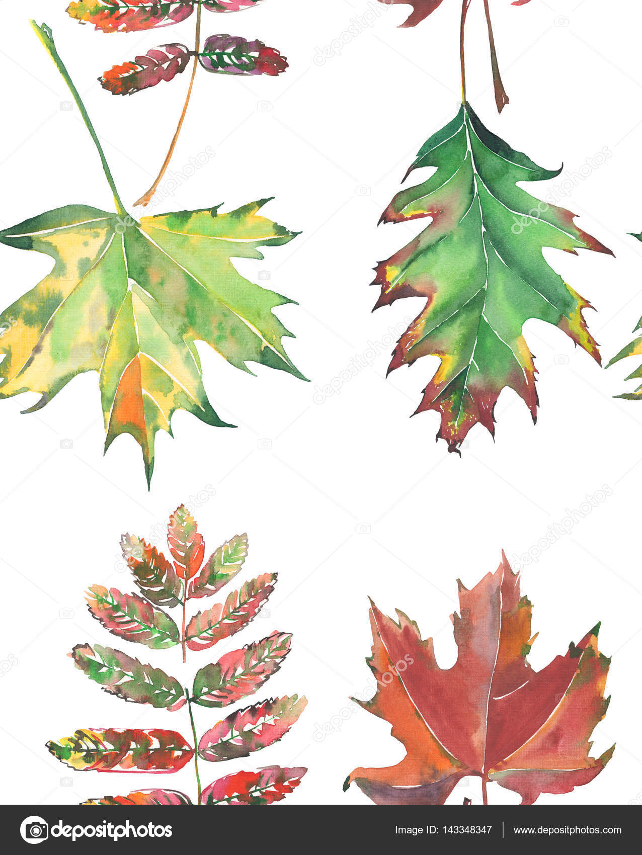 Vier helle schöne bunte Blätter Herbst grün rot braun Ahorn und