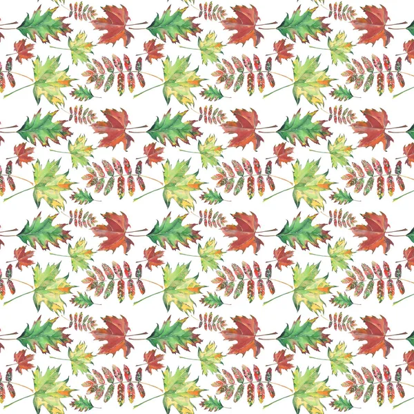 밝고 아름 다운 예술적 다채로운 잎이 녹색 빨간 갈색 단풍 및로 웬 패턴 수채화 손 그림 — 스톡 사진