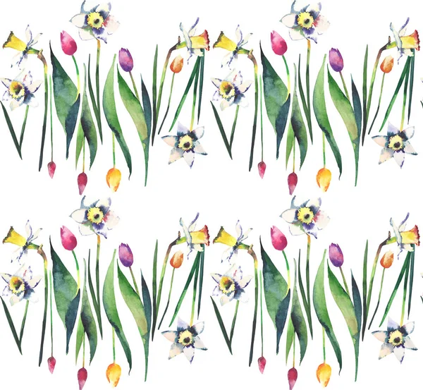 Bright beautiful lovely vertical spring pattern of colorful tulips and gentle daffodils watercolor hand sketch — Stock Photo, Image