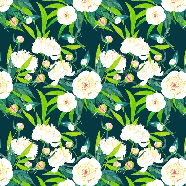 Beautiful bright lovely spring white peonies pattern on navy background watercolor hand illustration — Stock Photo, Image