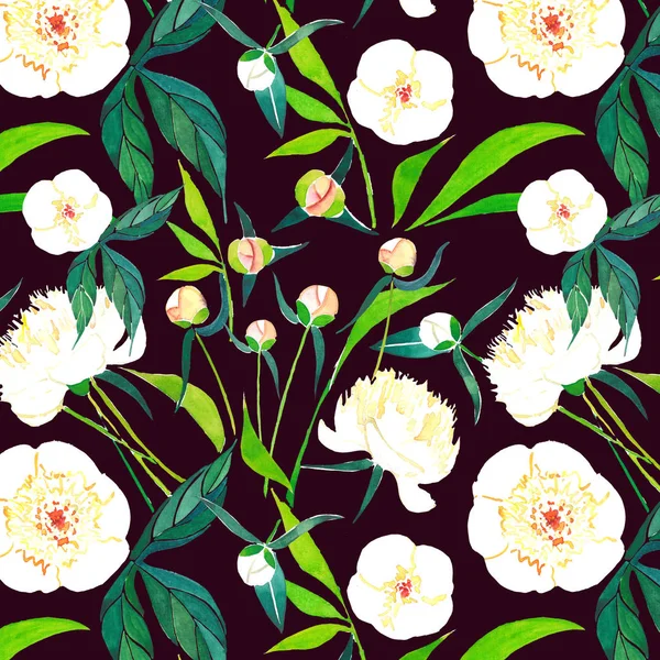 Ljusa vackra grafik våren sofistikerade vita pioner med knoppar mönster på mörkbrun bakgrund akvarell hand skiss — Stockfoto
