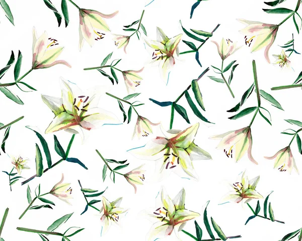 Beautiful gentle refined spring composition of white beige powdery lilies on white background watercolor hand illustration