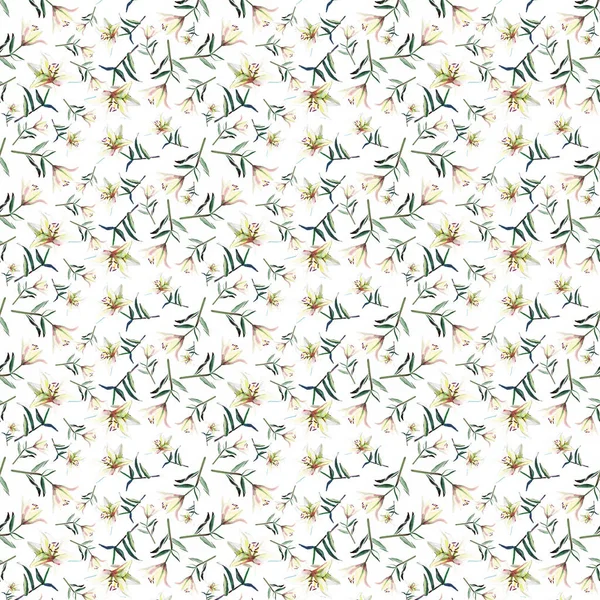 Sanfte zarte Frühling verfeinert schöne Muster der weißen beige pudrigen Lilien Aquarell Hand Illustration — Stockfoto