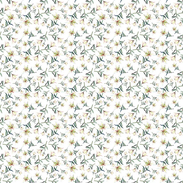 백색 베이지색 가루 백합 수채화 손 스케치의 부드러운 아름 다운 부드러운 봄 세련 된 아름 다운 패턴 — 스톡 사진