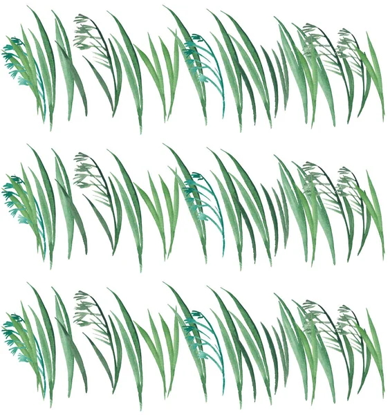Красивая яркая весна графический травяной цветочный узор зеленой травы с овсянкой горизонтальный узор акварелью руку иллюстрации — стоковое фото