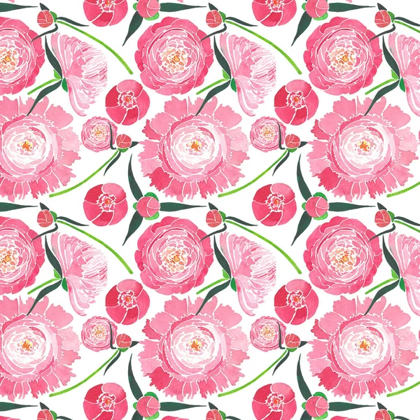 Belle composition florale tendre à base de plantes d'une pivoine rose avec des feuilles vertes motif aquarelle croquis à la main — Photo