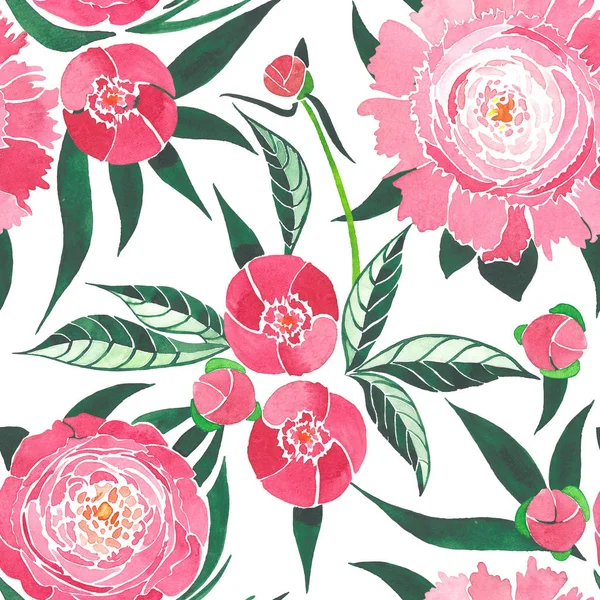 ホワイト バック グラウンド パターン水彩手図の緑の葉とピンクの牡丹の洗練された美しい柔らかいハーブ畦畔 — ストック写真