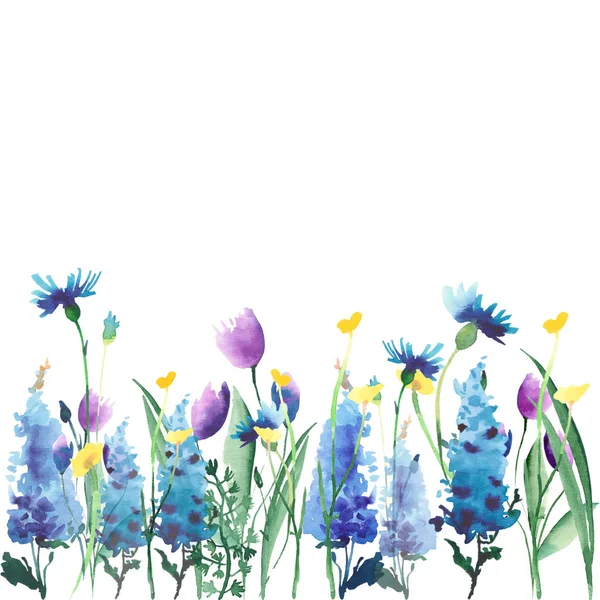 Beautiful tender gorgeous bright lovely floral herbal spring delphiniums and windflowers with green leaves frame watercolor hand illustration — Stock Photo, Image