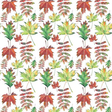 Parlak güzel çiçek bitkisel renkli yeşil kırmızı kahverengi akçaağaç ve rowan desen suluboya el çizimi yaprak