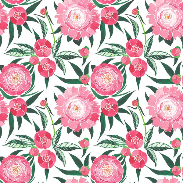 Красива весняна ніжна графічна квіткова композиція рожевих півоній з зеленим листям візерунок аквареллю ручний ескіз — стокове фото