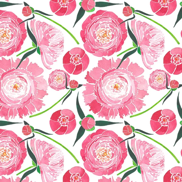 Belle composition florale à base de plantes tendre d'une pivoine rose avec des feuilles vertes et des bourgeons rouges motif aquarelle illustration à la main — Photo