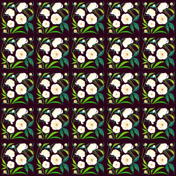 Heldere mooie grafische kleurrijke lente tedere witte pioenrozen met toppen en groene bladeren patroon op donkere bruine achtergrond aquarel hand schets — Stockfoto