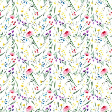 Yumuşak ihale narin parlak çiçek bitkisel renkli gül lupins ve Peygamber tomurcukları ile bahar ve rasgele desen suluboya el kroki çimen