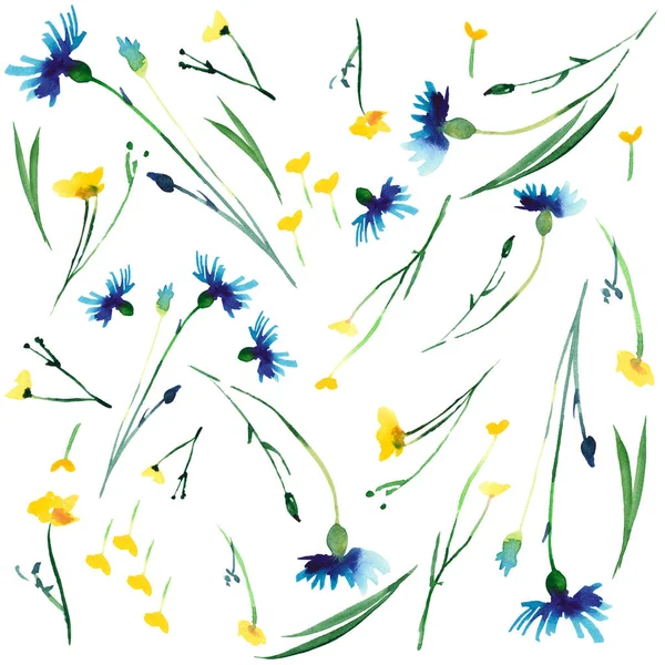 Bonito concurso delicado delicado primavera floral brilhante colorido delphiniums buttercups e flores de milho com botões e grama padrão aquarela mão ilustração — Fotografia de Stock