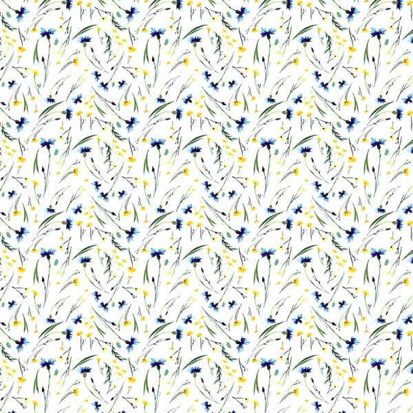 Prachtige zachte tedere delicate heldere floral voorjaar kleurrijke Delphinium boterbloemen en korenbloemen met toppen en gras patroon aquarel hand schets — Stockfoto