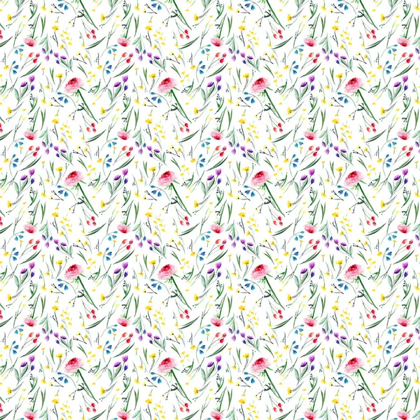 Sophisticated wonderful tender delicate bright floral herbal spring colorful rose lupins and cornflowers with buds and grass random pattern watercolor hand illustration — Stock Photo, Image