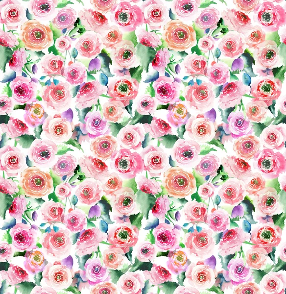 Ute tender elegant sophisticated lovely magnificent spring colorful wildflowers roses with buds pattern watercolor hand illustration — Stock Photo, Image