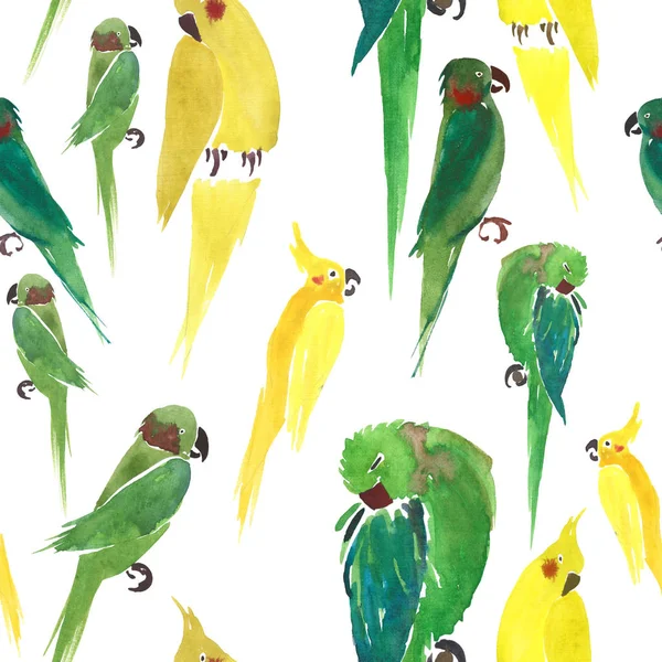 Чудовий яскравий милий красивий джунглі милий жовтий і зелений папуги випадковий візерунок акварельний ручний ескіз — стокове фото