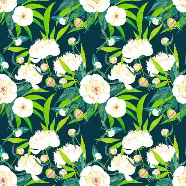 Brillant beau printemps graphique sophistiqué merveilleux floral pivoines blanches avec des bourgeons et des feuilles vertes motif sur fond brun foncé aquarelle illustration à la main — Photo