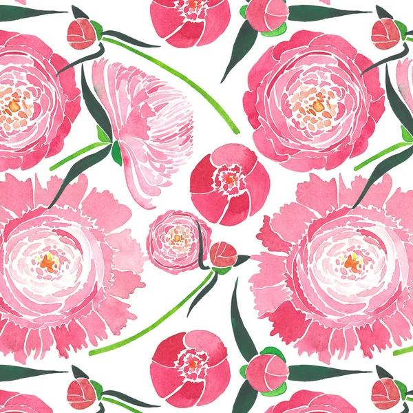 Composition florale tendre à base de plantes d'une pivoine rose avec des feuilles vertes et des bourgeons rouges motif aquarelle illustration à la main — Photo