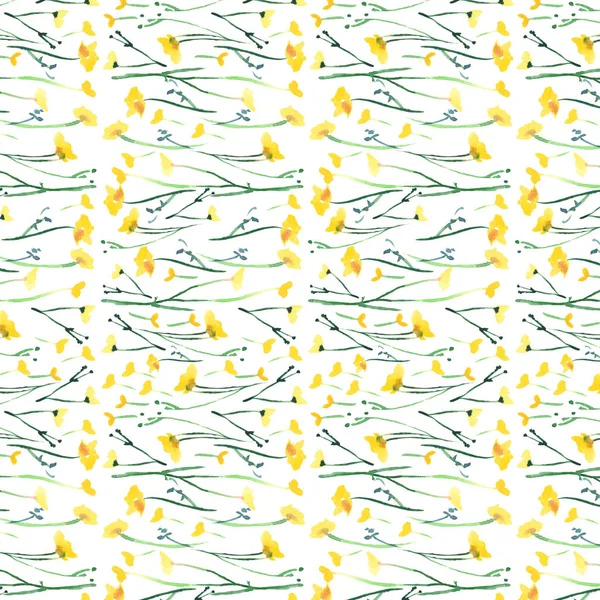 Prachtige mooie tedere delicate heldere floral voorjaar kleurrijke gele wilde bloemen met toppen en bladeren patroon aquarel hand illustratie — Stockfoto