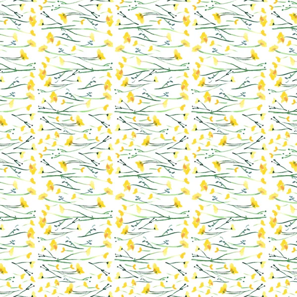 Prachtig prachtig schattig tedere delicate heldere floral voorjaar zomer kleurrijke gele wilde bloemen met toppen en bladeren patroon aquarel hand illustratie — Stockfoto