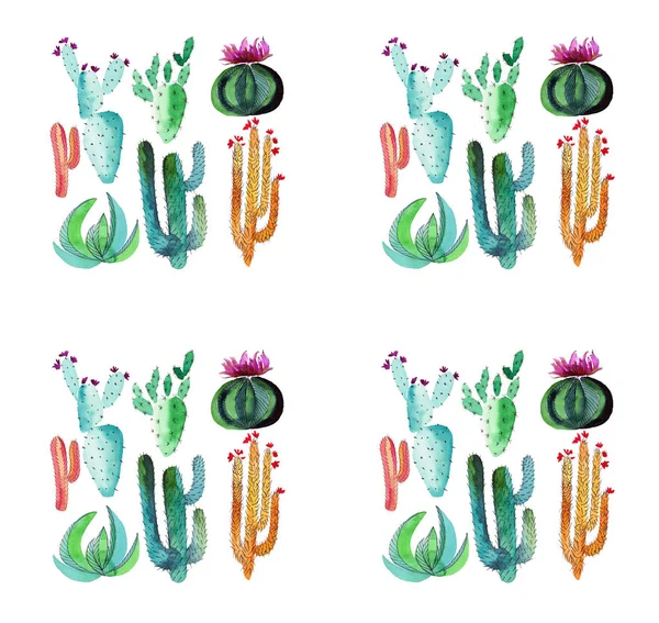 Grafica hawaii mexicana herbario hermoso maravilloso floral herbario hermoso lindo primavera colorido cuatro grupos de cactus acuarela y pluma bosquejo de mano — Foto de Stock
