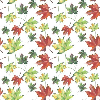 Parlak güzel grafik çiçek bitkisel sonbahar yeşil sarı kırmızı kahverengi yaprakları sonbaharda akçaağaç ve desen suluboya el kroki