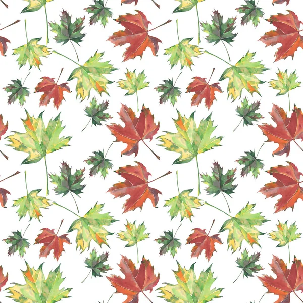 Яскраві красиві графічні квіткові трав'яні осінні зелено-жовті червоно-коричневі листя осінній клен і візерунок акварельний ручний ескіз — стокове фото