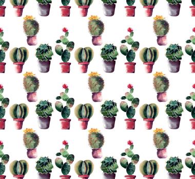 Tencere çiçek dikey ışıma suluboya el çizim ile renkli bir kaktüs harika Meksikalı hawaii tropik yeşil çiçek yaz şirin paterni