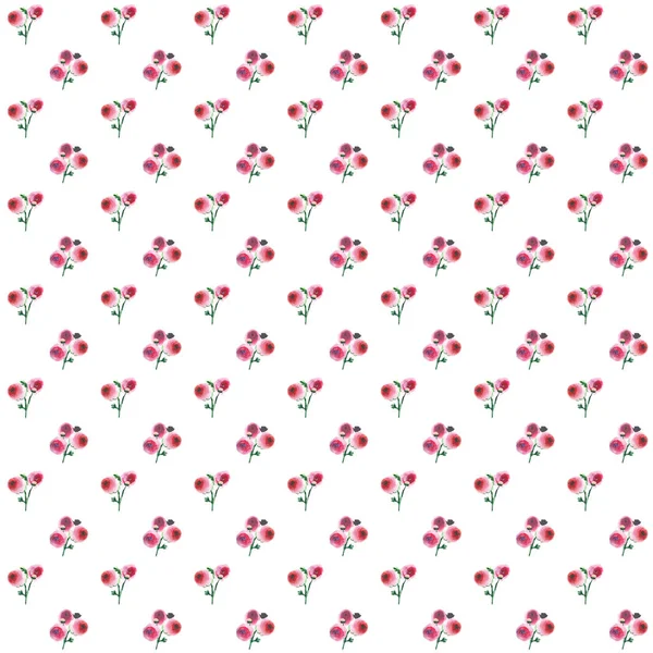 Bonito bonito sofisticado magnífico maravilhoso lindo floral herbal primavera colorido wildflowers rosa e vermelho rosas com buquês padrão de buquês aquarela mão ilustração — Fotografia de Stock