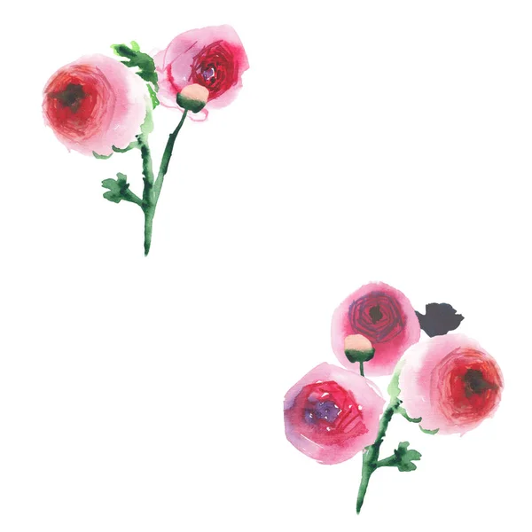 Elegante bella carino sofisticato meraviglioso bella floreale a base di erbe primavera colorati fiori di campo rosa e rosso rose con boccioli due mazzi di fiori acquerello mano illustrazione — Foto Stock