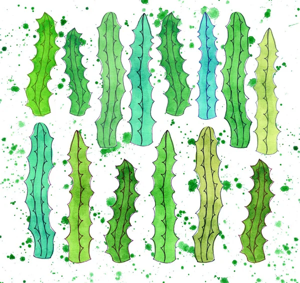 Cute wonderful mexican tropical floral summer green pattern of a colorful cactus aloe vera vertical pattern paint like child watercolor hand sketch — Stock Photo, Image