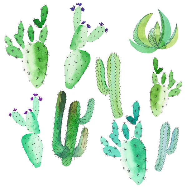 Heldere mooie verfijnde Mexicaanse hawaii tropische bloemen kruiden zomer groen patroon van een cactus verf als kind aquarel en pen hand schets — Stockfoto