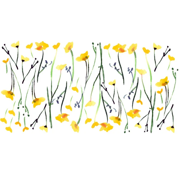 Mooie heldere schattige mooie tedere elegante zachte delicate helder floral voorjaar geel wilde bloemen met toppen en bladeren patroon aquarel hand illustratie — Stockfoto