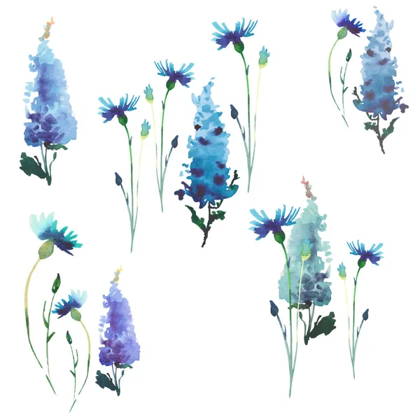 Zachte tedere fijne elegante helder verfijnde voorjaar kleurrijke Delphinium en korenbloemen met toppen samenstelling aquarel hand illustratie — Stockfoto