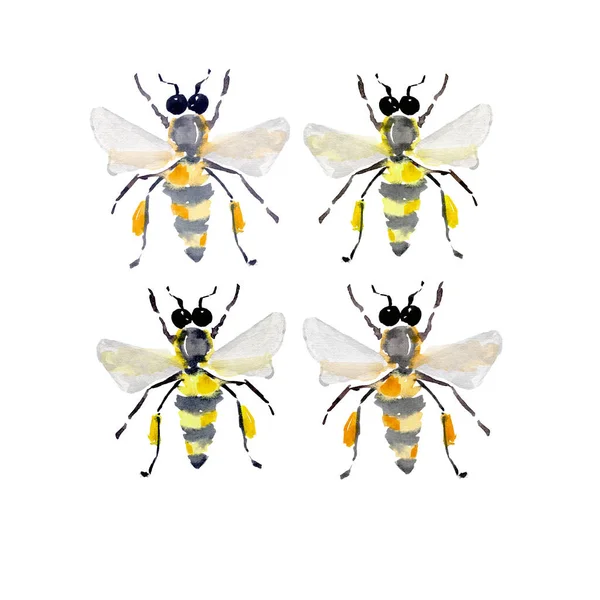 Belle graphique lumineux abstrait mignon beau été coloré quatre abeilles de miel aquarelle illustration à la main — Photo