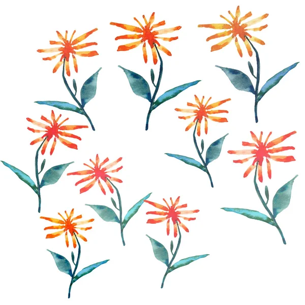 Tender beautiful delicate bright sophisticated spring colorful herbal textile yellow orange dandelions with green leaves composition watercolor hand sketch
