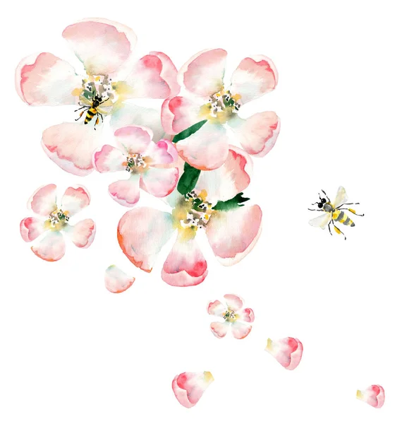 Geavanceerde mooie schattige mooie tedere kruiden floral Lentebloemen van apple met groene bladeren en bijen samenstelling aquarel hand illustratie — Stockfoto