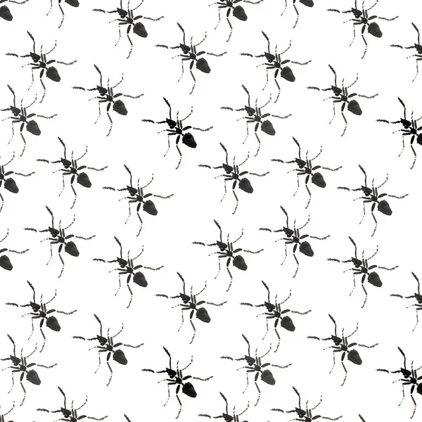 Bella grafica luminosa astratta carino bel modello diagonale di formiche nere acquerello mano illustrazione — Foto Stock
